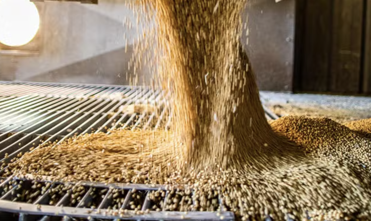 B&F Agro entra em recuperação judicial